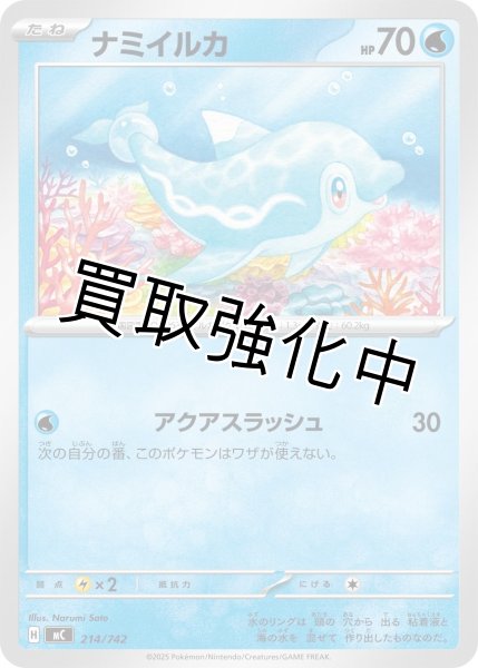 画像1: ナミイルカ {214/742} [MC] (1)