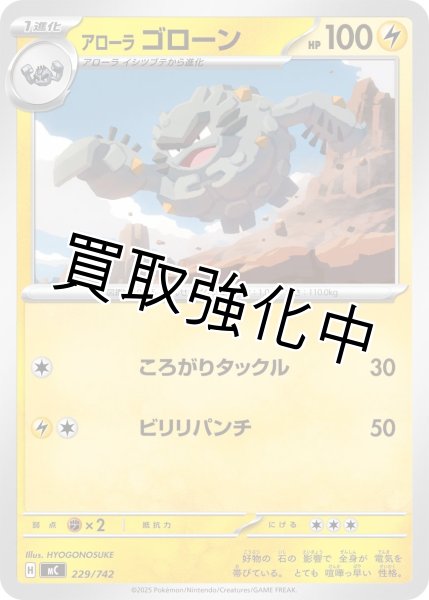 画像1: アローラ ゴローン {229/742} [MC] (1)