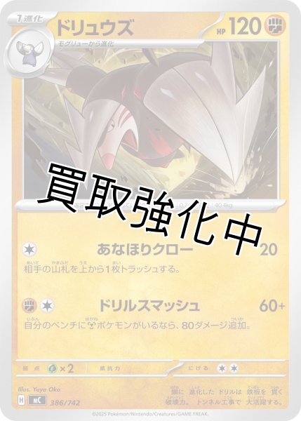 画像1: ドリュウズ {386/742} [MC] (1)