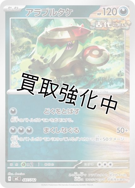 画像1: アラブルタケ {487/742} [MC] (1)