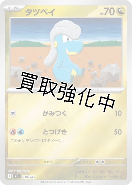 画像1: タツベイ {538/742} [MC] (1)