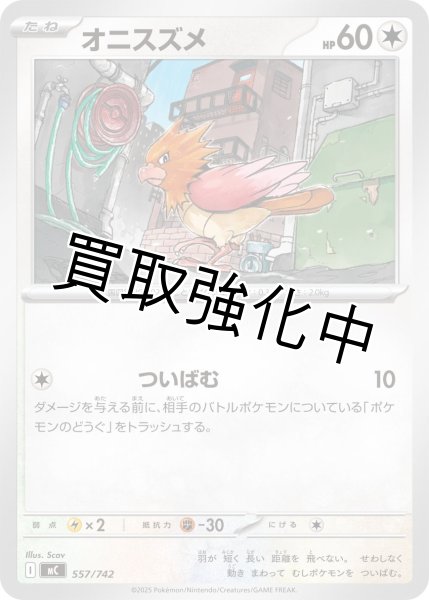 画像1: オニスズメ {557/742} [MC] (1)