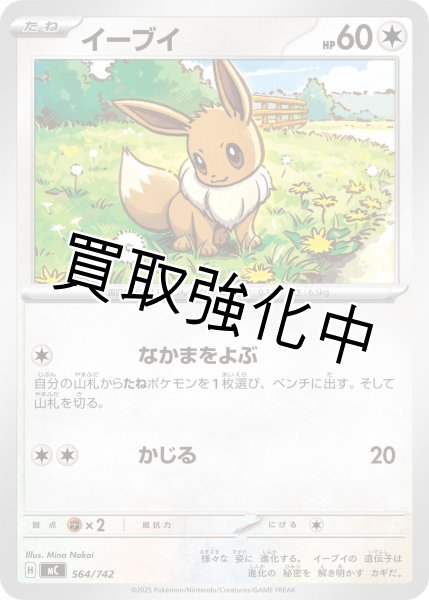 画像1: イーブイ {564/742} [MC] (1)