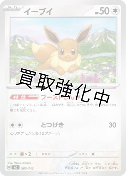 画像1: イーブイ {565/742} [MC] (1)