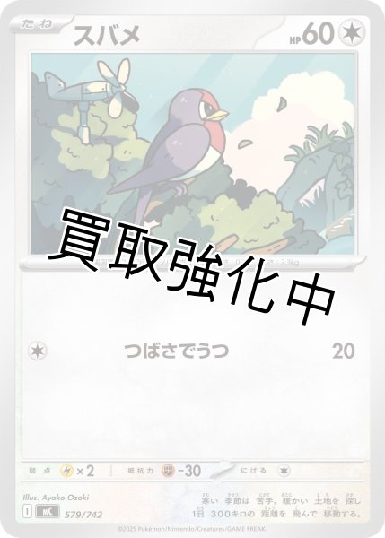 画像1: スバメ {579/742} [MC] (1)