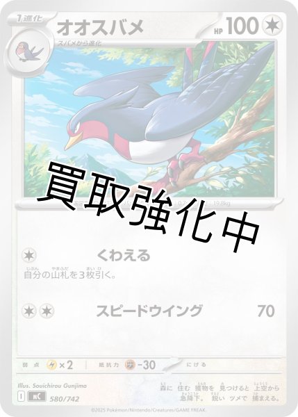 画像1: オオスバメ {580/742} [MC] (1)