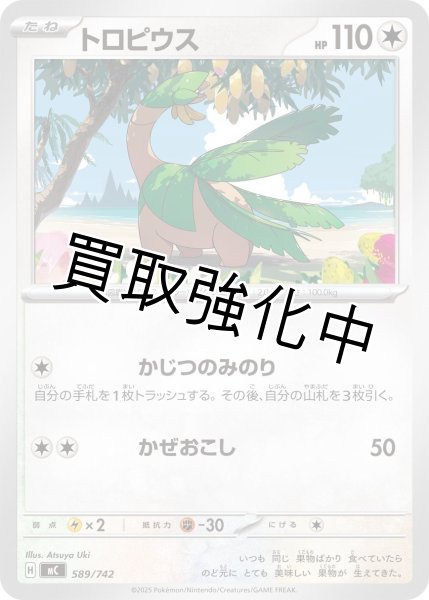 画像1: トロピウス {589/742} [MC] (1)