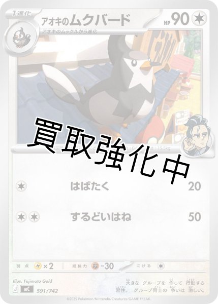 画像1: アオキのムクバード {591/742} [MC] (1)