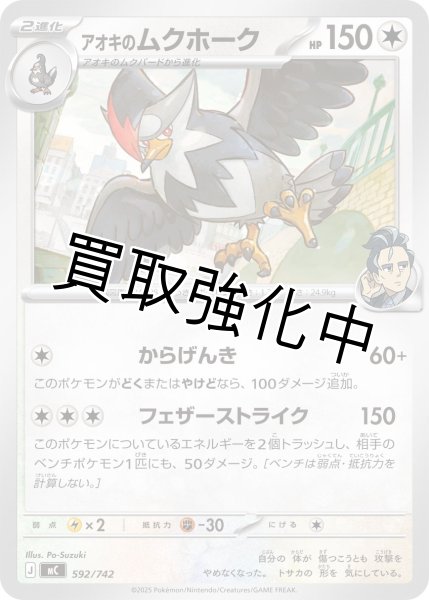 画像1: アオキのムクホーク {592/742} [MC] (1)