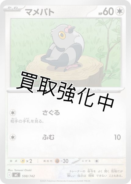 画像1: マメパト {598/742} [MC] (1)