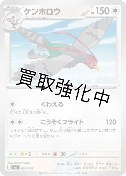 画像1: ケンホロウ {600/742} [MC] (1)