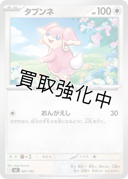 画像1: タブンネ {601/742} [MC] (1)