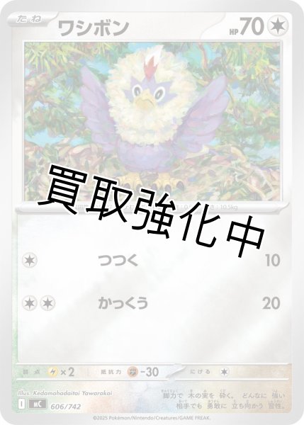 画像1: ワシボン {606/742} [MC] (1)