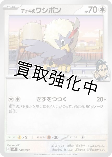 画像1: アオキのワシボン {608/742} [MC] (1)