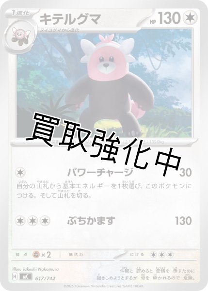 画像1: キテルグマ {617/742} [MC] (1)