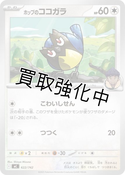 画像1: ホップのココガラ {622/742} [MC] (1)