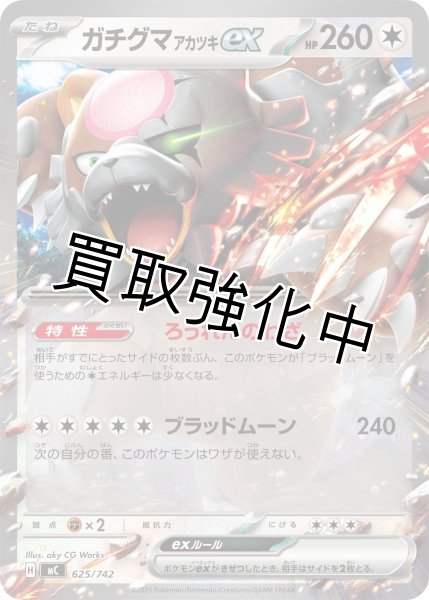 画像1: ガチグマ アカツキex {625/742} [MC] (1)