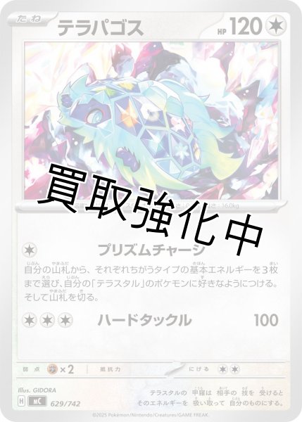 画像1: テラパゴス {629/742} [MC] (1)