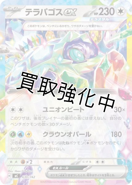 画像1: テラパゴスex {630/742} [MC] (1)