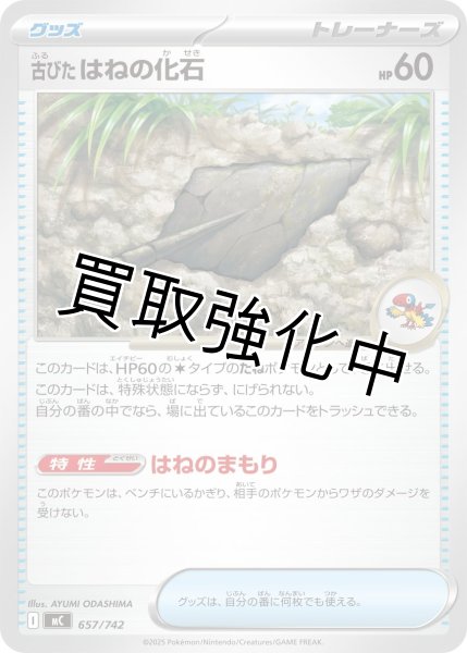 画像1: 古びたはねの化石 {657/742} [MC] (1)