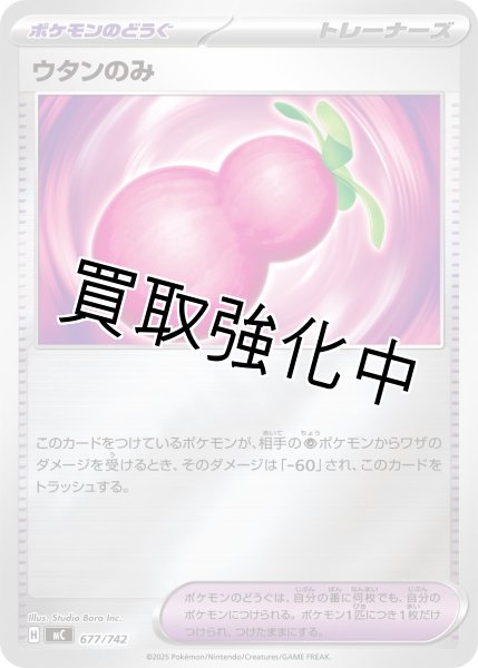 画像1: ウタンのみ {677/742} [MC] (1)