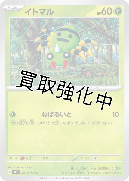 画像1: イトマル (1)