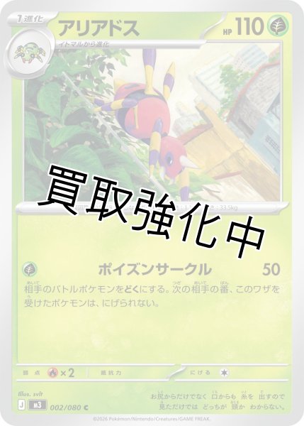 画像1: アリアドス (1)