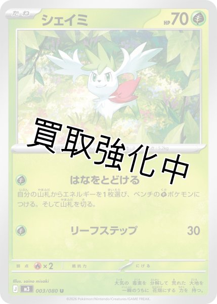 画像1: シェイミ (1)