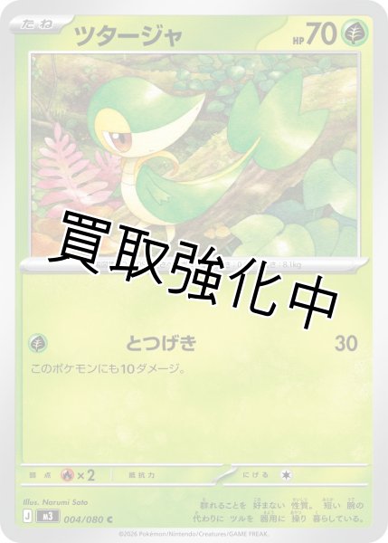 画像1: ツタージャ (1)