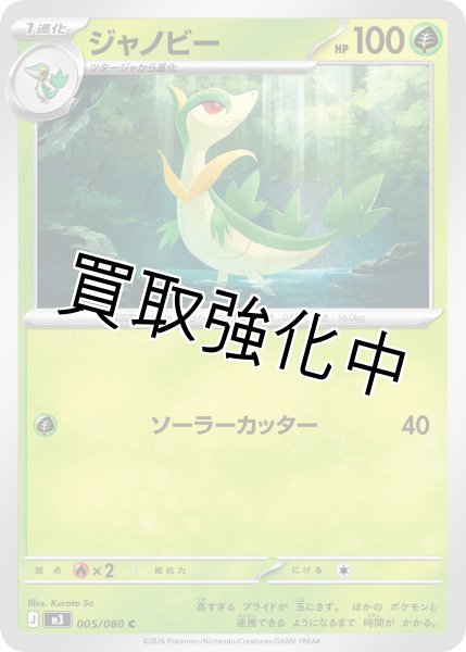 画像1: ジャノビー (1)