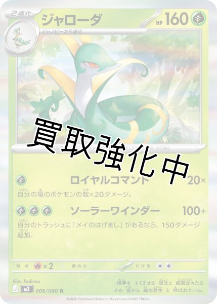 画像1: ジャローダ (1)