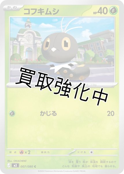 画像1: コフキムシ (1)