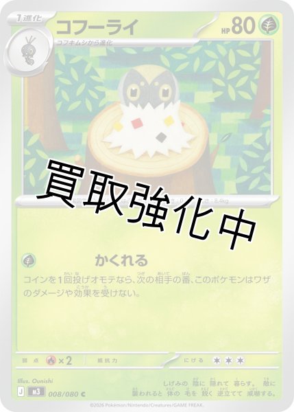 画像1: コフーライ (1)