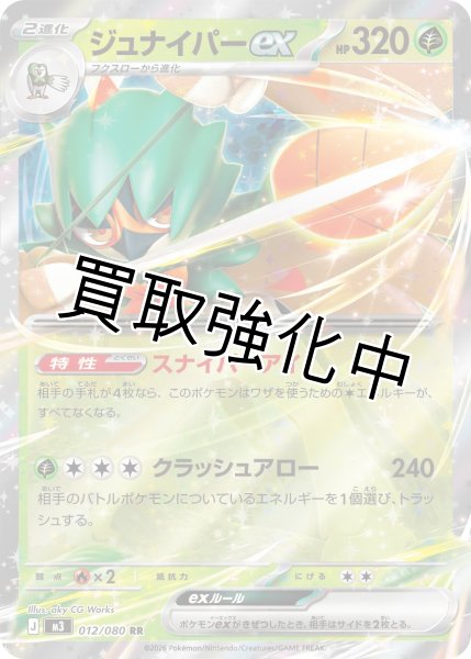 画像1: ジュナイパーex (1)