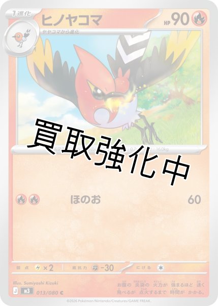 画像1: ヒノヤコマ (1)