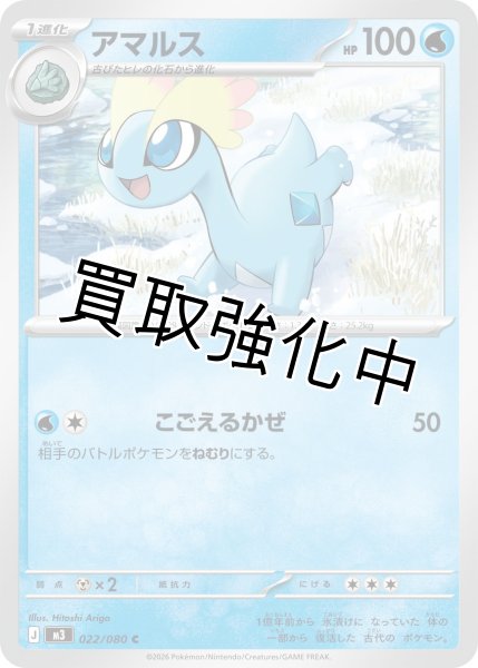 画像1: アマルス (1)