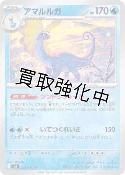 画像1: アマルルガ (1)