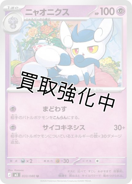 画像1: ニャオニクス (1)