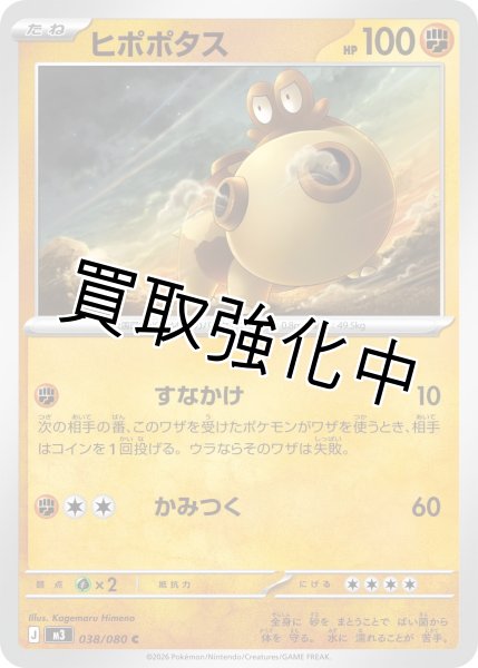 画像1: ヒポポタス (1)