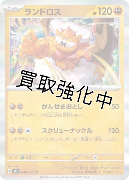 画像1: ランドロス (1)