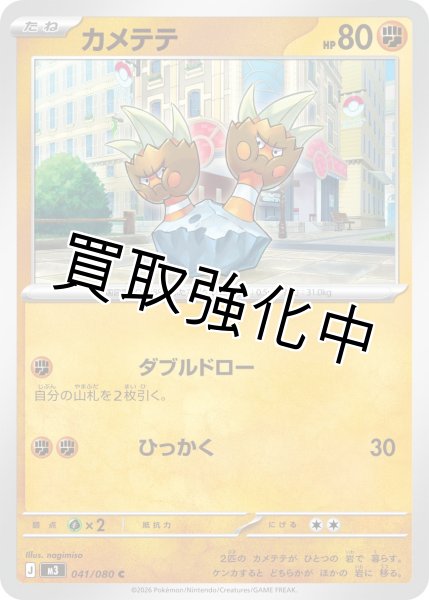 画像1: カメテテ (1)