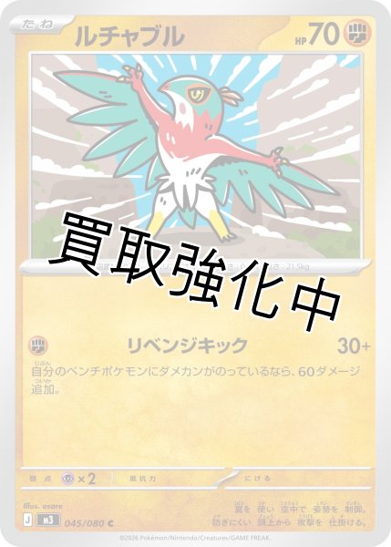 画像1: ルチャブル (1)