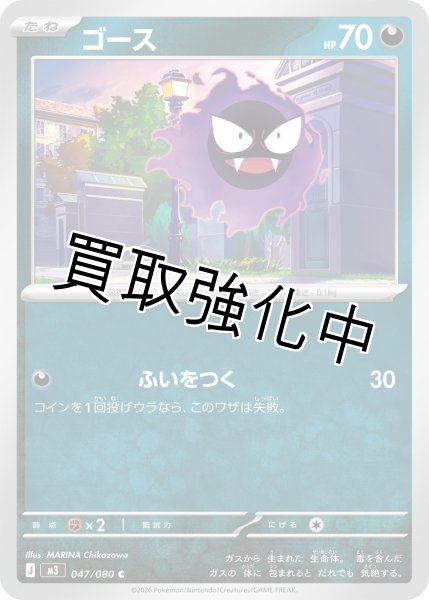 画像1: ゴース (1)