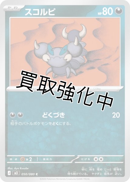 画像1: スコルピ (1)