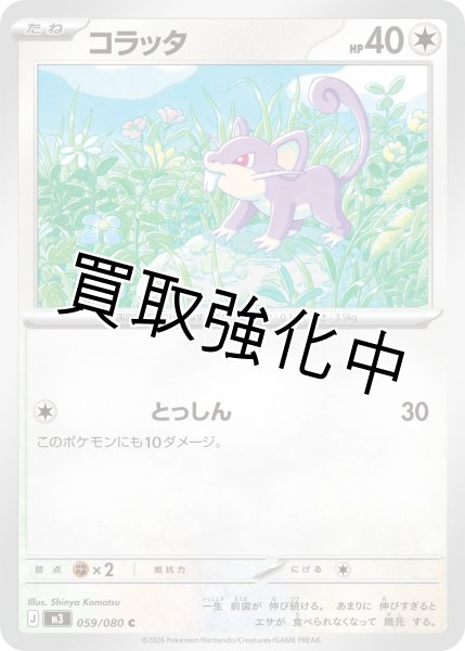 画像1: コラッタ (1)