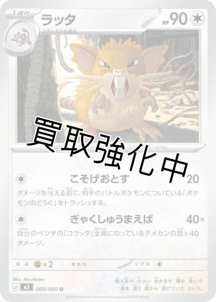 画像1: ラッタ (1)