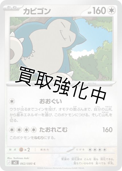 画像1: カビゴン (1)