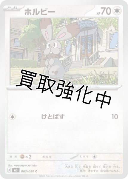 画像1: ホルビー (1)