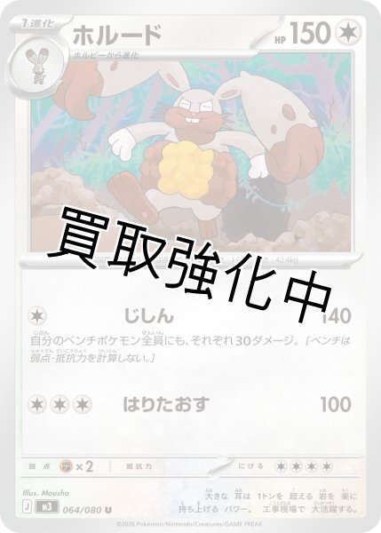 画像1: ホルード (1)