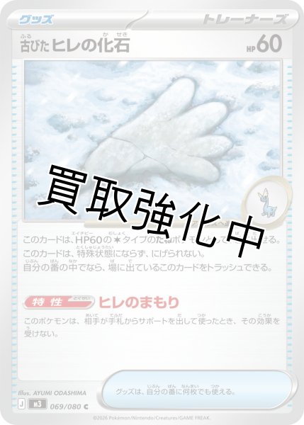 画像1: 古びたヒレの化石 (1)